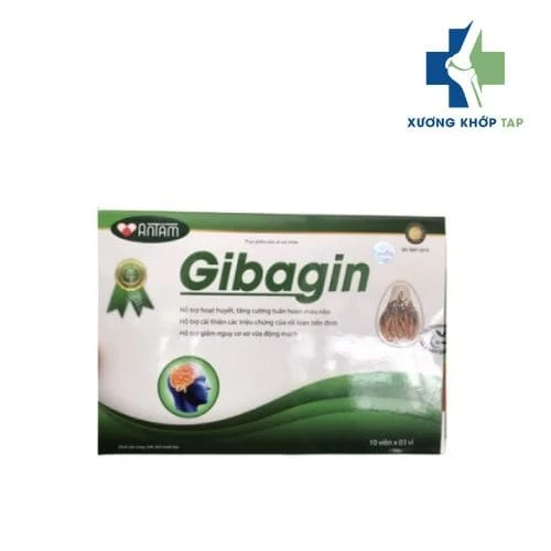 Gibagin - Giúp tăng cường tuần hoàn máu não